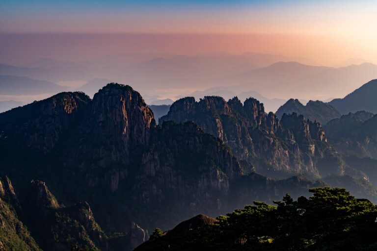 Photovoltaikmodule und Markttrends 2026 durch PV China Entwicklung beeinflusst