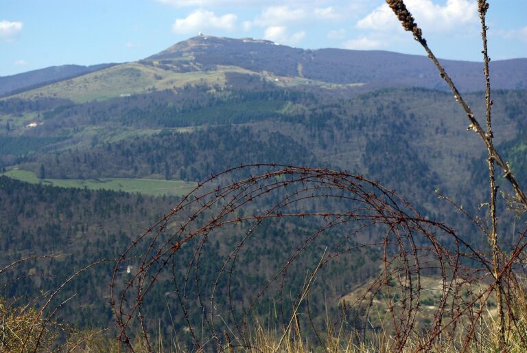 Immobilienbesitzer prüfen mit PV Kauf Checkliste sicher ihre passende Solaranlage