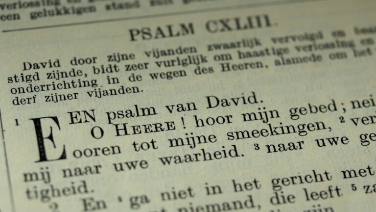 Photovoltaikanlage mit sichtbaren Schäden zur PV Mängel erkennen und beheben