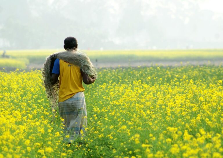 PV Thermie Anlage auf landwirtschaftlichem Betrieb kombiniert Solarwärme und Stromerzeugung 2026