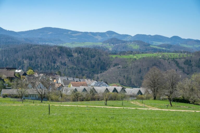 Überschusseinspeisung einer Solaranlage zur optimalen Einspeisevergütung und Wirtschaftlichkeit