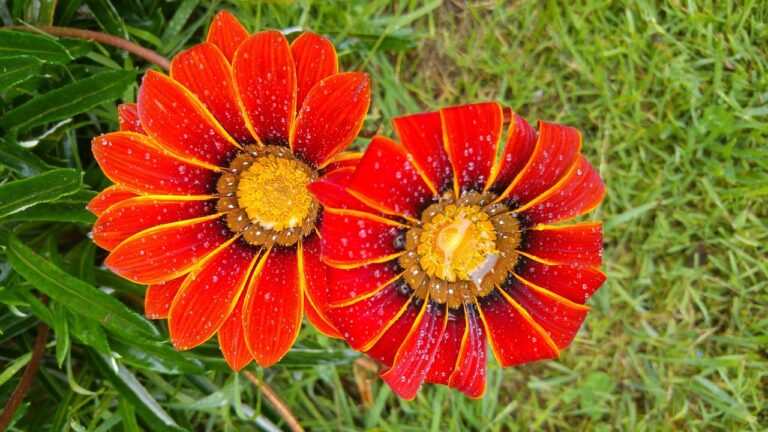 Moderne Wärmepumpe mit Photovoltaikanlage zur effizienten Energieplanung im Haus